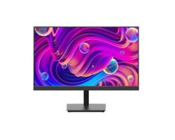 Hikvision DS-D5024F2-AP2 Monitor